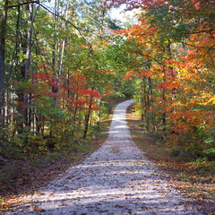 Old Auxier Ridge Road
